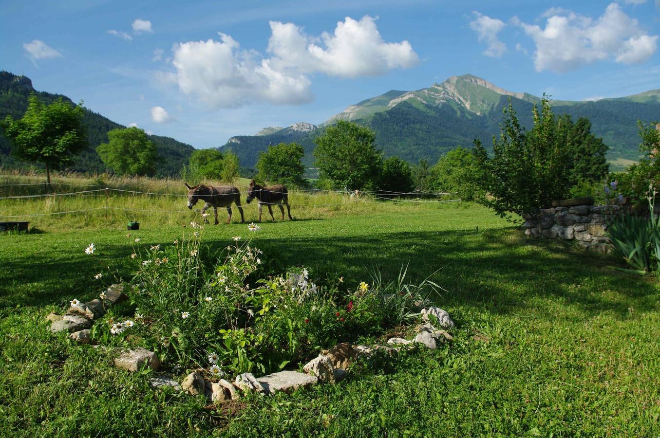 Chambres et table d'hôtes Les Ombelles - Chambre Guêpier d'Europe in Lalley, Isère