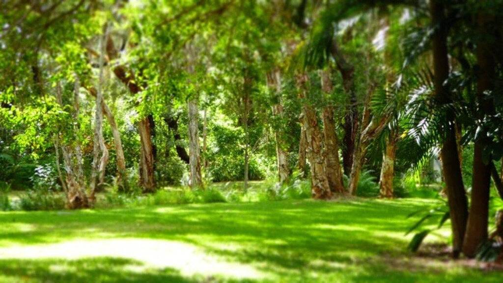 Boomerang Hideaway - auf einer ruhigen Fläche in Boomerang Beach, New South Wales
