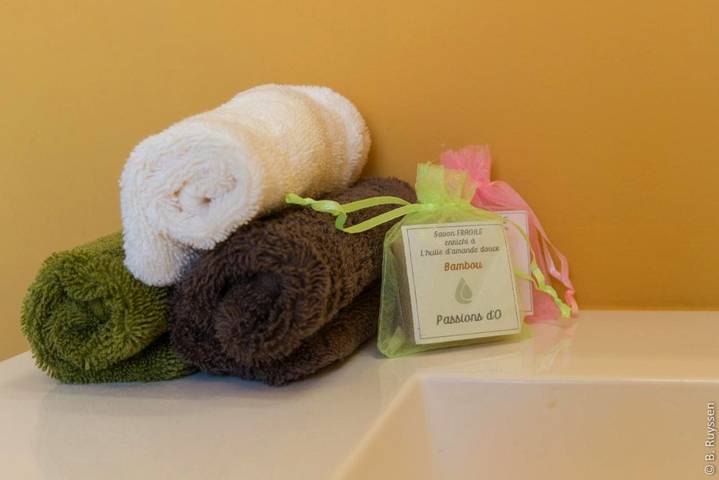 Location de vacances pour 2 personnes, avec vue ainsi que piscine et jardin à Florennes - 4