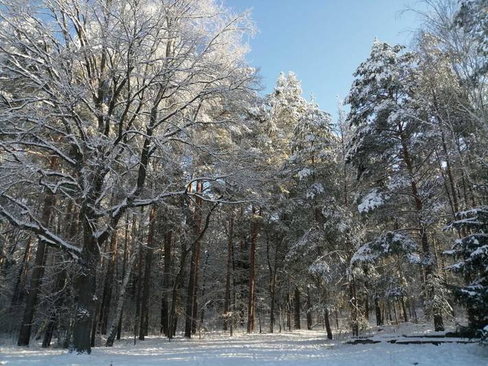Ferienwohnung für 3 Personen, mit Garten, kinderfreundlich in der Lausitz - 2