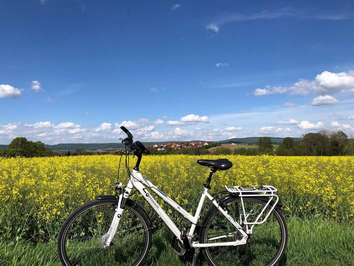 Ferienwohnung für 3 Personen, mit Balkon in Hameln - 3