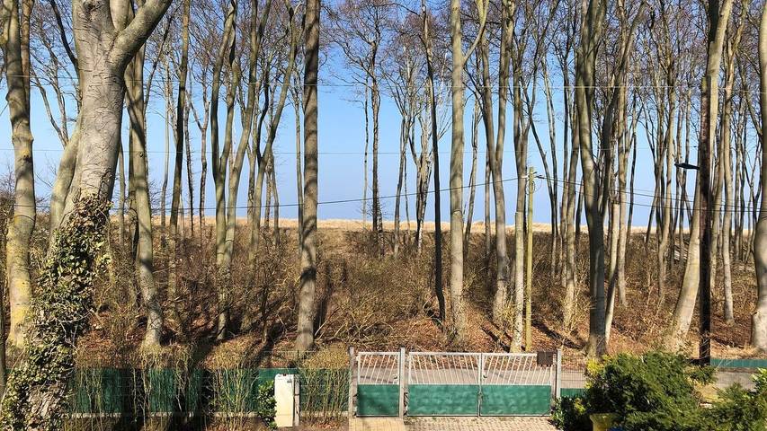 Ferienhaus für 6 Personen, mit Garten und Terrasse sowie Sauna in Graal-Müritz - 4