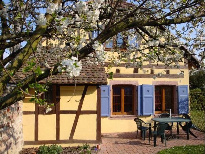 Location de vacances pour 4 personnes, avec Terrasse et Jardin à Horbourg-Wihr