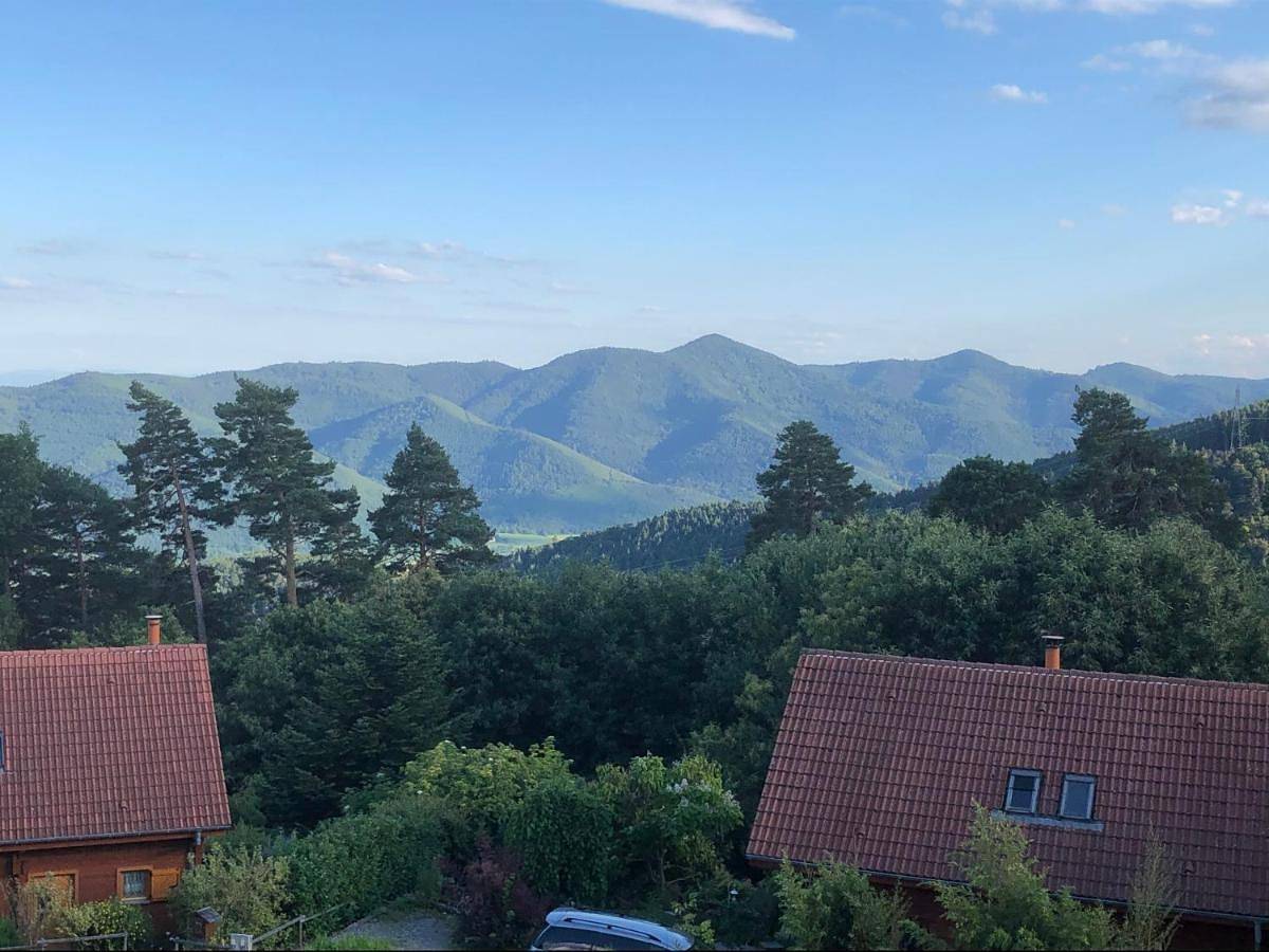 Appartement entier, One-Bedroom Apartment in Trois-Épis, Ammerschwihr