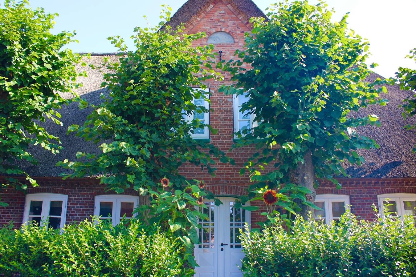 Haus Boldix Whg. 1 Aruba in Wyk auf Föhr (Stadt), Wyk auf Föhr