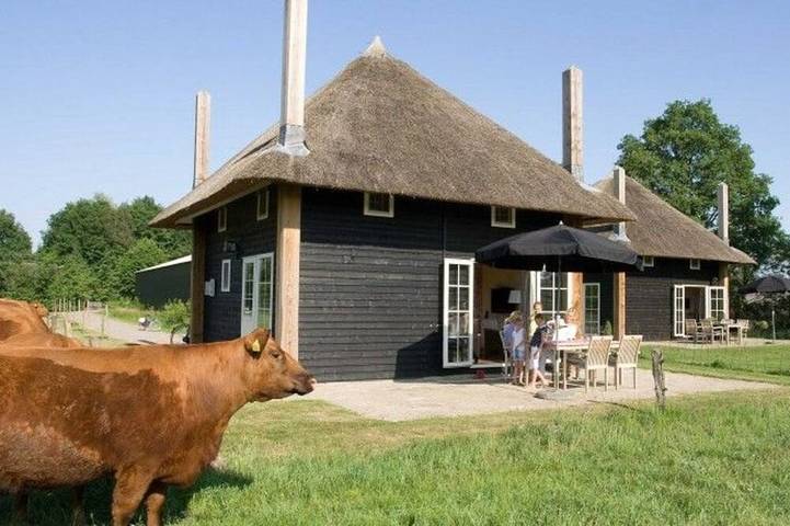 Ferienhaus für 5 Personen, mit Sauna in Wierden