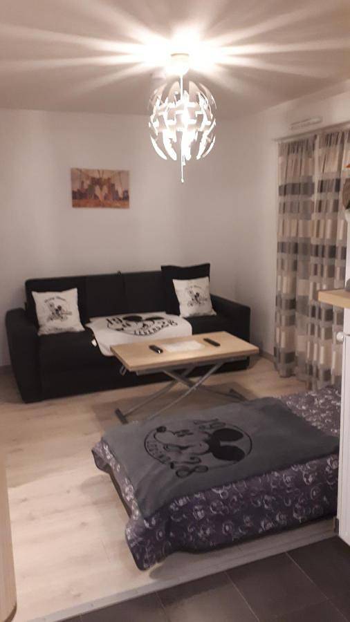 Gîte pour 3 personnes, avec vue et jardin à Chessy - 4