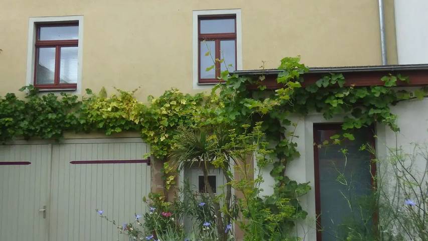 Bauernhof für 6 Personen in Sachsen-Anhalt - 3