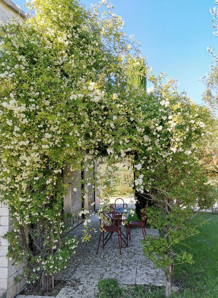 Gîte pour 2 personnes, avec piscine et jacuzzi ainsi que terrasse et jardin, animaux acceptés dans le Vaucluse - 4