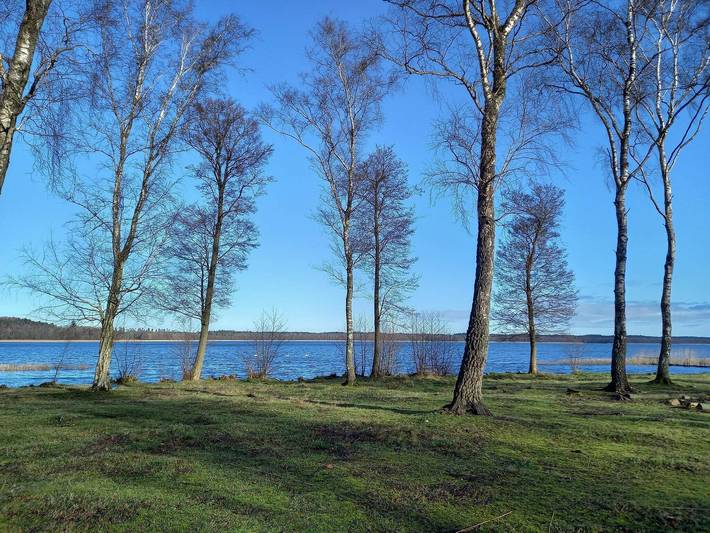 Location de vacances pour 8 personnes, avec terrasse et piscine à Ebeltoft - 2