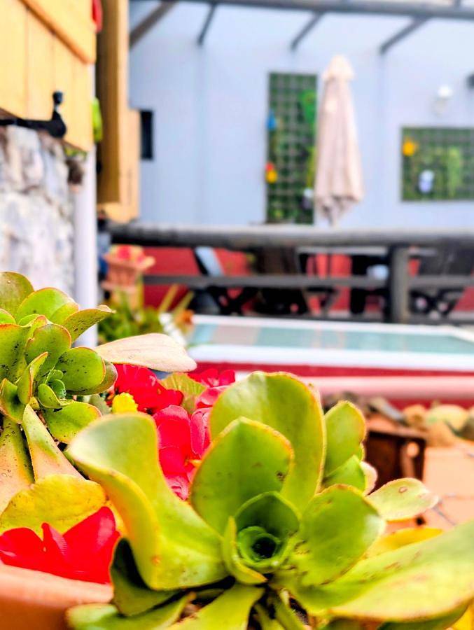 Madeira Native Motion Guest House in Madeira