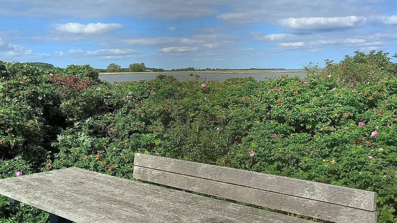 Feriehus for 11 personer med terrasse in Årø, Haderslev