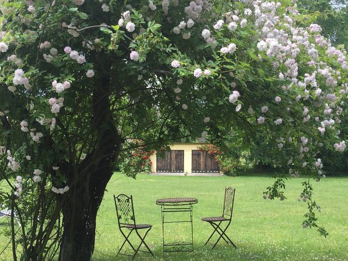 Ferienwohnung für 4 Personen, mit Garten und Seeblick in Fürstenberg/Havel - 4