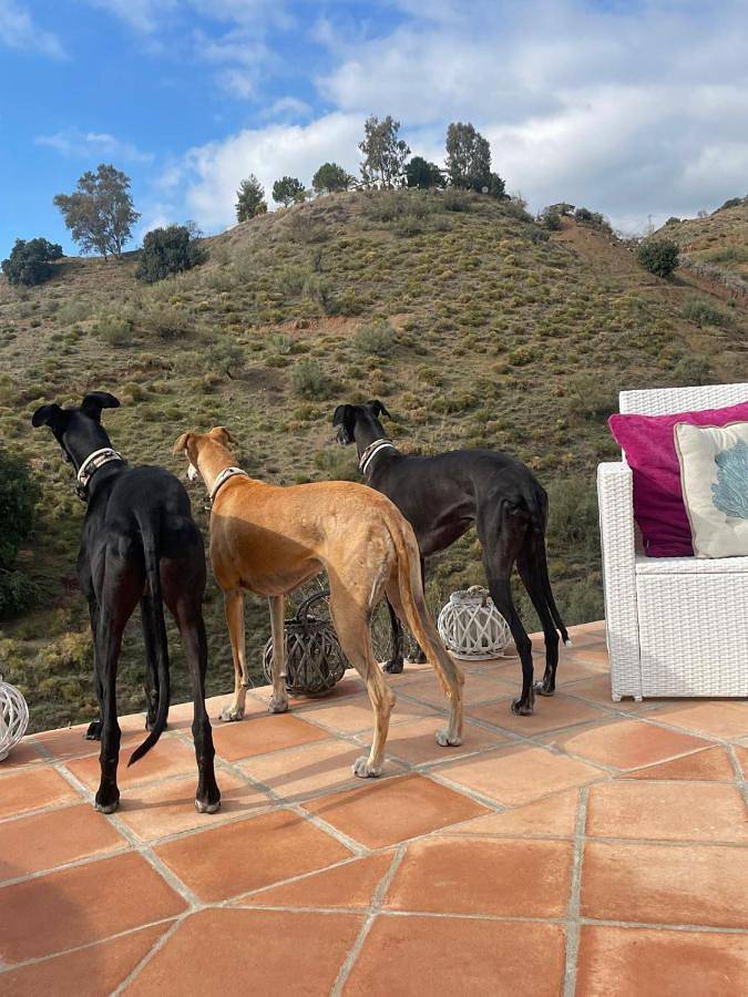 Casa rural para 2 personas, con Terraza y Jardín además de Piscina y Vistas en Sedella - 3