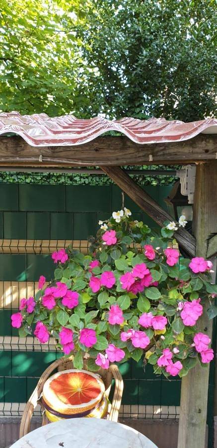 Hôtel pour 2 personnes, avec jardin et vue, animaux acceptés à Kerkrade - 3