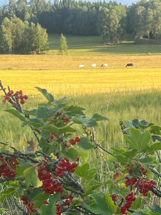 Ferienhaus für 9 Personen, mit Ausblick und Garten, mit Haustier in Trollhättan - 2