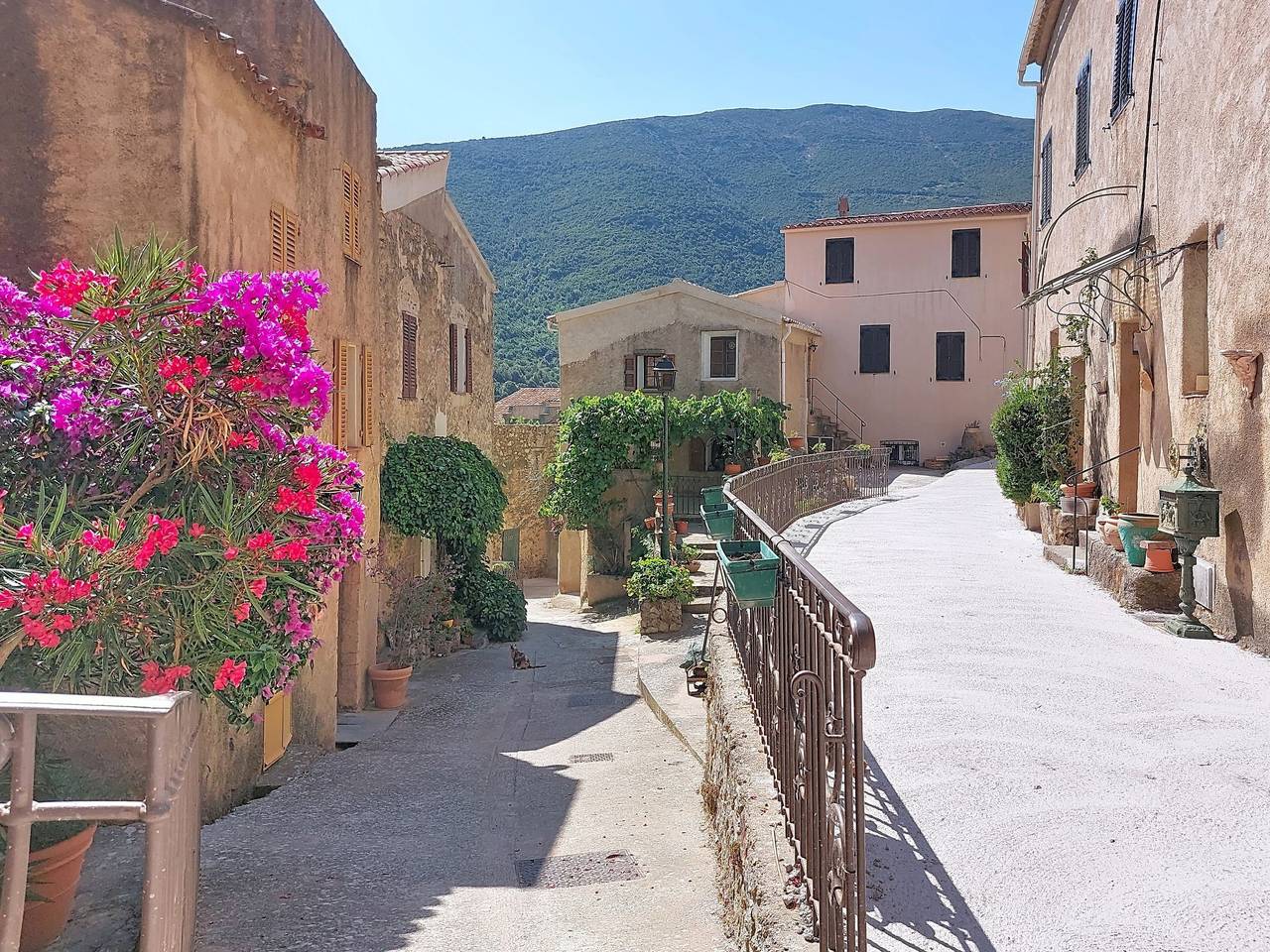 Casa Memmi Mouriès in Palasca, Région de Calvi