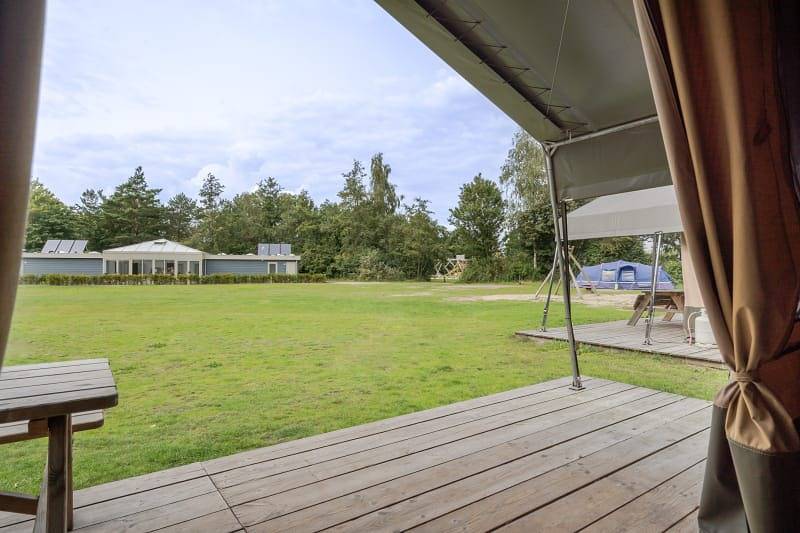 Tent voor 6 personen met terras in Veluwe