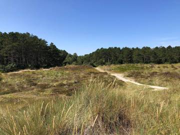 Ferienhaus für 7 Personen in Grenå Strand, Grenaa, Bild 4