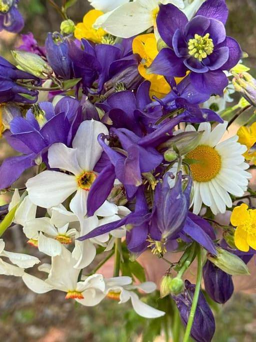 Gîte pour 4 personnes, avec vue et balcon à Laye (homonymie) - 3