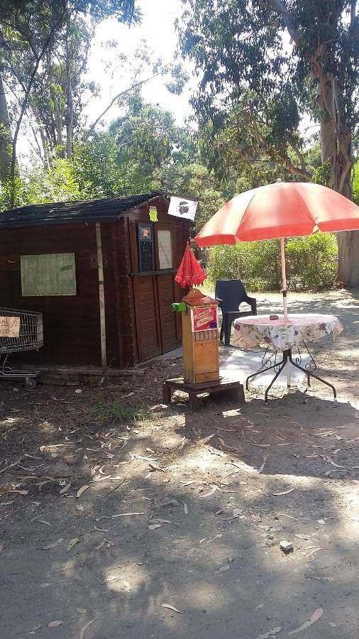 Location de vacances pour 6 personnes, avec jardin à Castellare-di-Casinca - 3