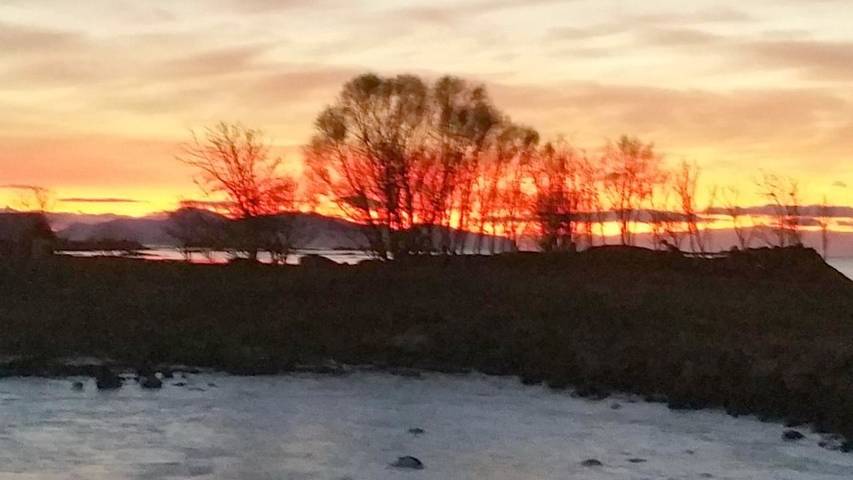 Ferienhaus für 7 Personen, mit Garten und Ausblick sowie Sauna in Vesterålen - 4