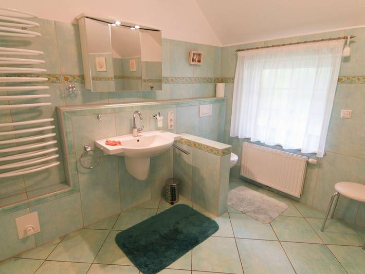But 79 - Reetdach-Ferienhaus am Deich in Butjadingen, Wesermarsch