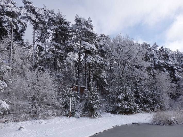 Ferienhaus für 6 Personen, mit Seeblick und Sauna sowie Garten und Terrasse, kinderfreundlich in Lychen - 3