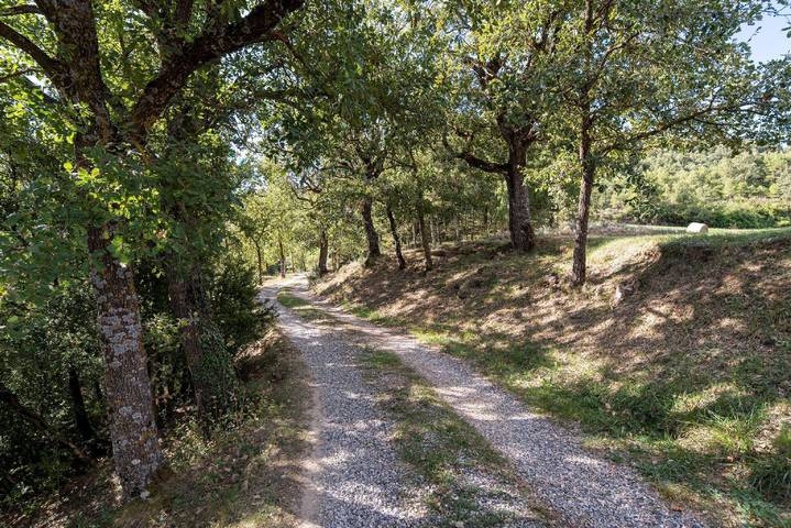Chalet para 12 personas, con jardín y terraza en Solsonés - 3