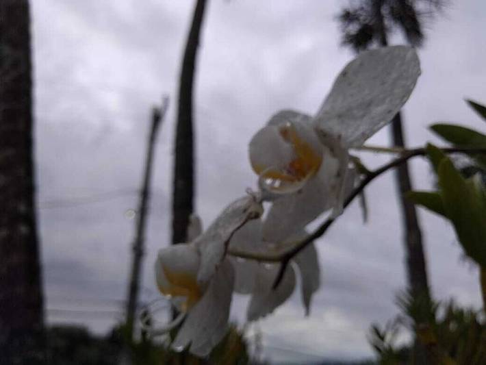 Finca für 15 Personen in Brasilien