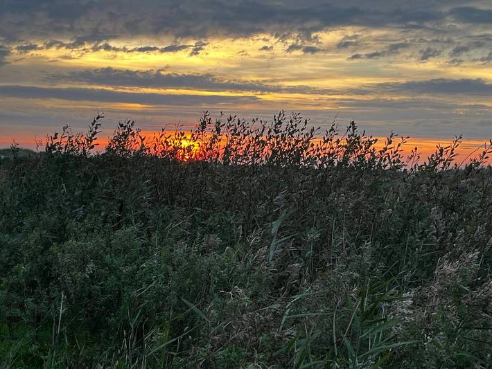 Vakantiehuis voor 10 personen, with sauna and terras as well as whirlpool and zwembad, kindvriendelijk in Ebeltoft