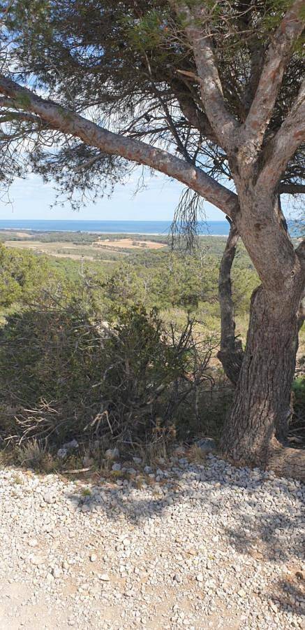 Gîte pour 2 personnes, avec vue et balcon à Gruissan - 3