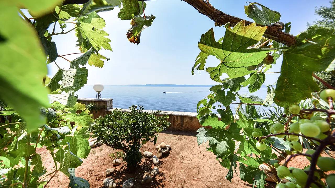 Appartamento vacanze a Brac a partire da 156€ a notte