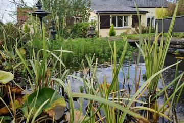Gîte pour 6 personnes, avec jardin, animaux acceptés à Ceaucé