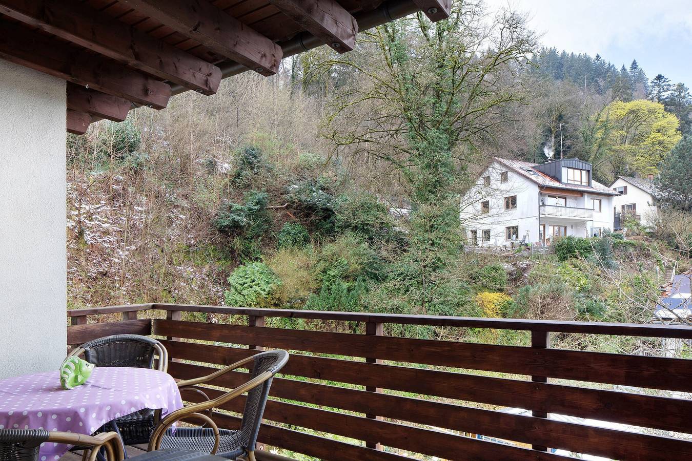 Ganze Wohnung, Apartment 'Buck' mit Balkon und Wlan in Günterstal, Freiburg