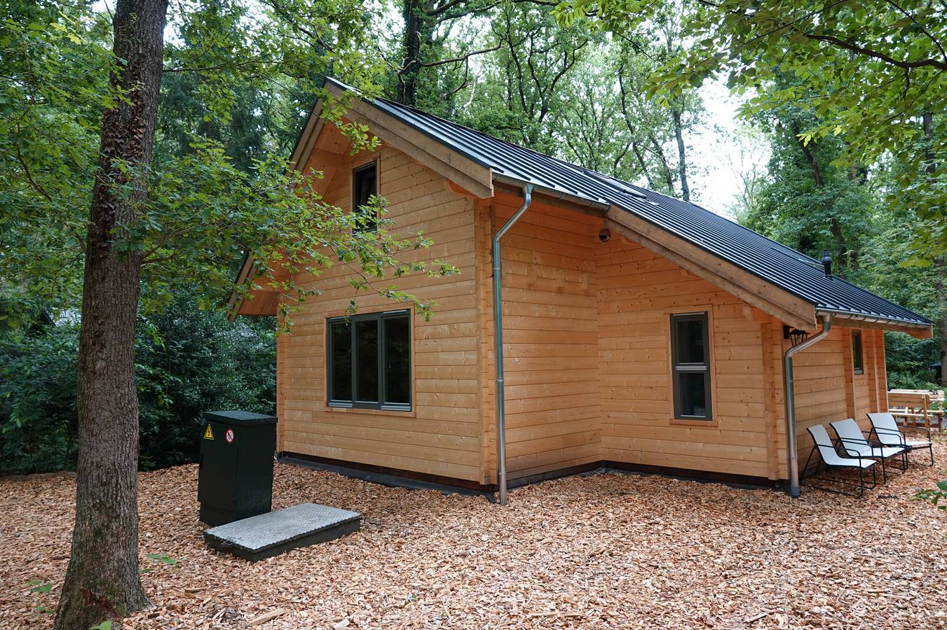 Komfortables Waldhaus für 6 Personen mit Infrarotsauna und großzügigem Garten in Norg in Drenthe