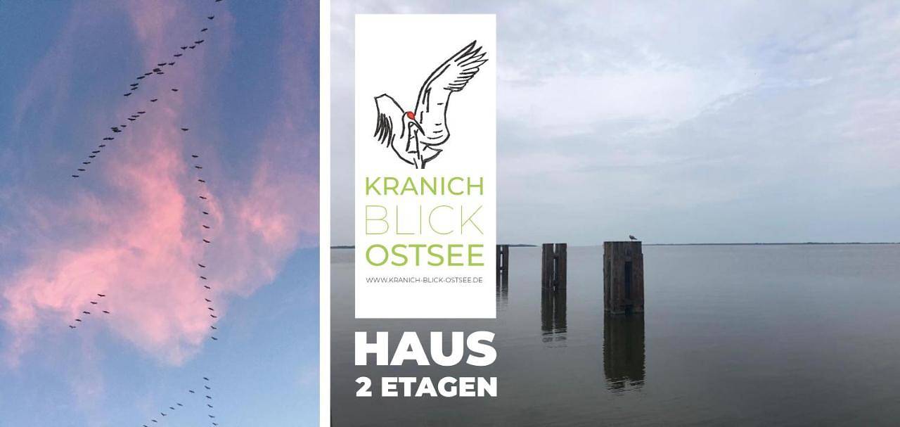 Historisches Bauernhaus für 8 Personen mit Luxus und Natur auf 2 Etagen ideal für Familien und Hunde 2500m2 eingezäunt an der Ostsee in Neu Bartelshagen, Stralsund Umland