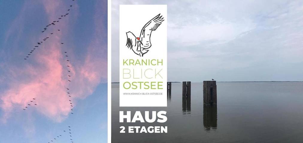 Ferienhaus für 8 Personen, mit Terrasse und Garten sowie Sauna und Ausblick in Neu Bartelshagen - 2