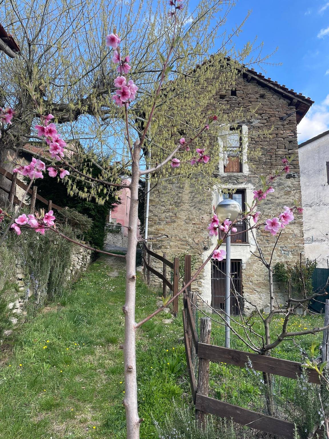 Orbregno country house - Alto Monferrato Hills in Prasco, Provincia d'Alessandria