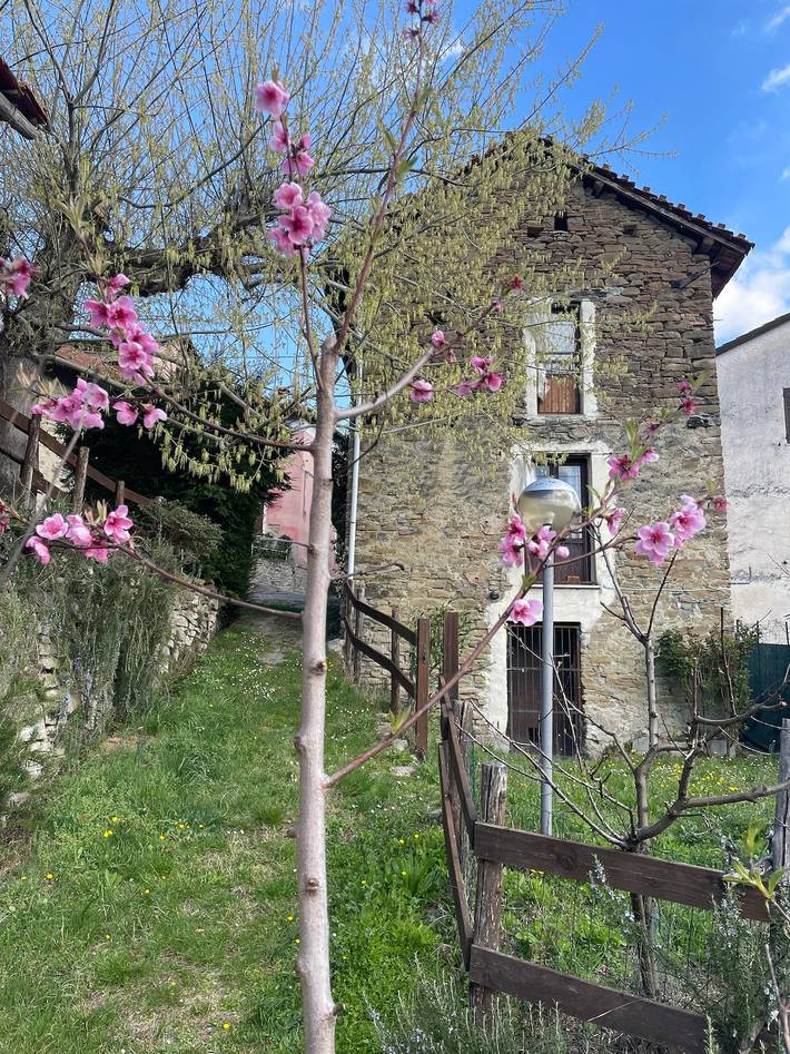 Maison de vacances pour 3 personnes avec terrasse in Prasco, Province d'Alexandrie