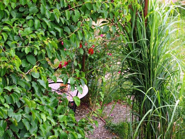 Ferienwohnung für 3 Personen, mit Terrasse und Garten in Michelstadt - 4