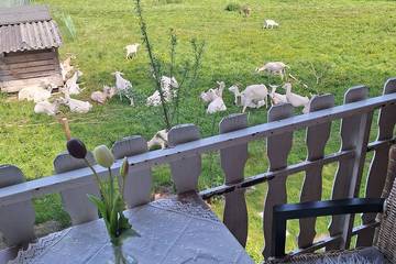 Ferienwohnung für 3 Personen, mit Whirlpool und Sauna sowie Garten und Balkon in Bad Münstereifel