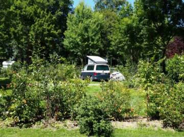 Tente pour 6 personnes, avec bassin pour enfant dans Île de France