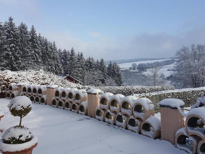 Gîte pour 2 personnes, avec jardin et jacuzzi à St. Vith - 2