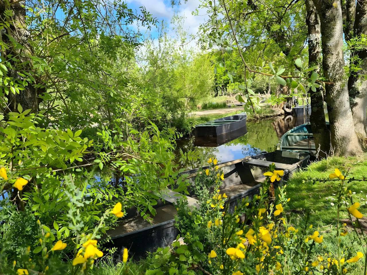 Chambre d’hôtes Bleue Océane - Étage avec terrasse et jardin partagés, Wi-Fi in Saint-Lyphard, Région de Saint-Nazaire