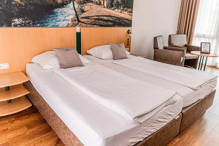 Ferienhaus für 2 Personen, mit Balkon und Sauna sowie Pool, mit Haustier in Gengenbach - 3