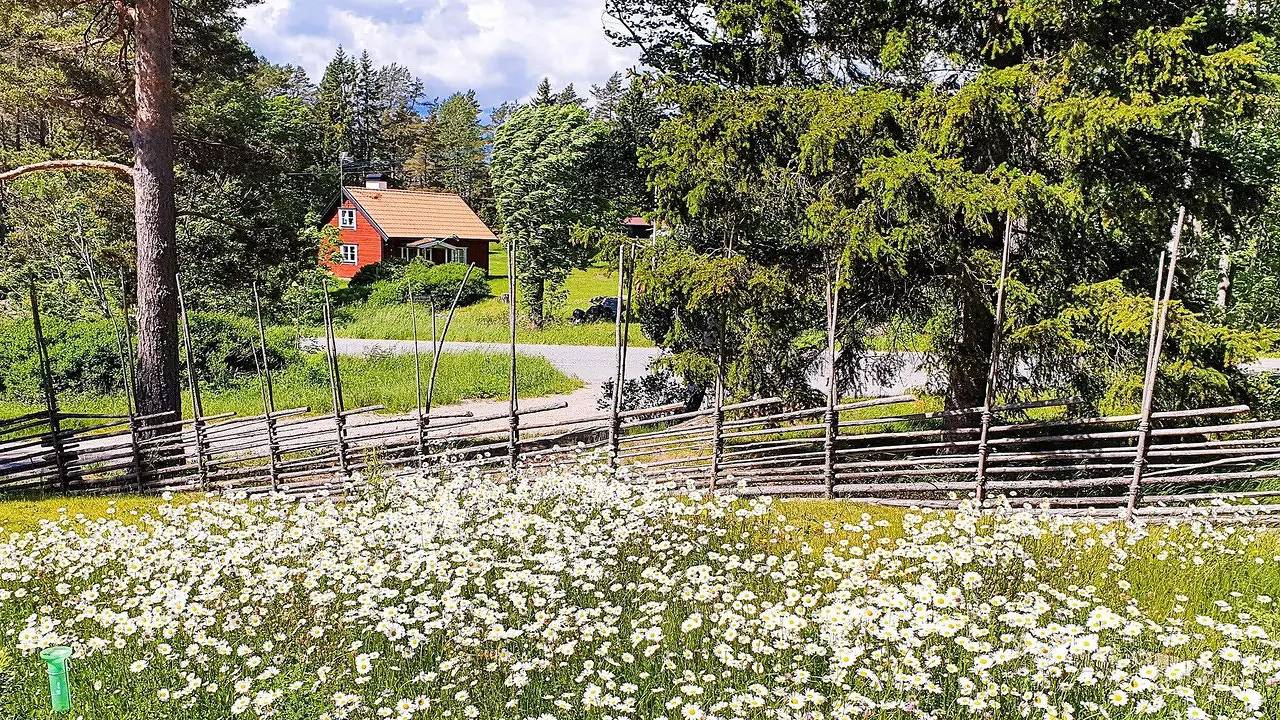 Ferienhaus für 6 Personen (137 m²) in Vätö in Vätö, Schwedische Ostsee