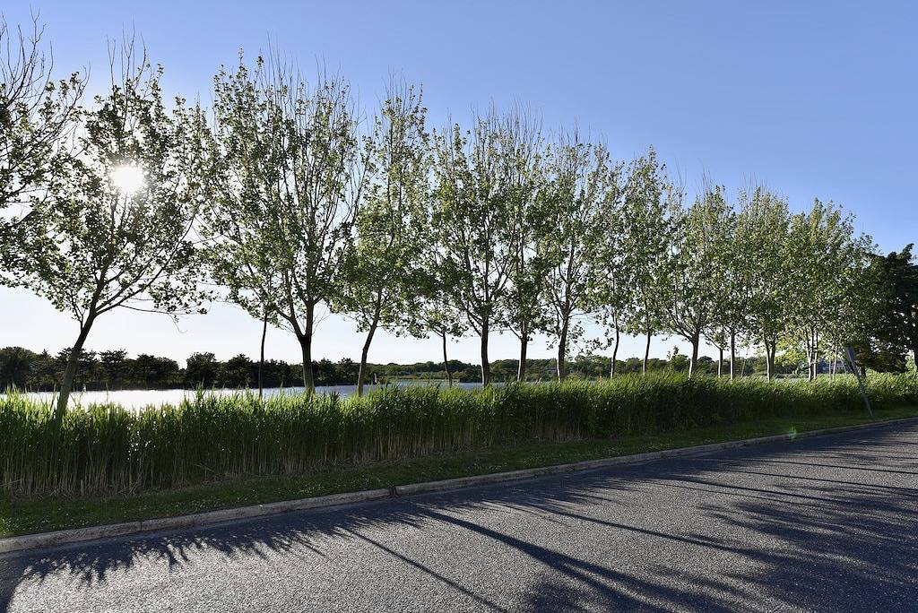 Historic Sea Capt Home Overlooking Twilight Lake: Pool, Walk To Beach & Village in Bay Head, Ocean County