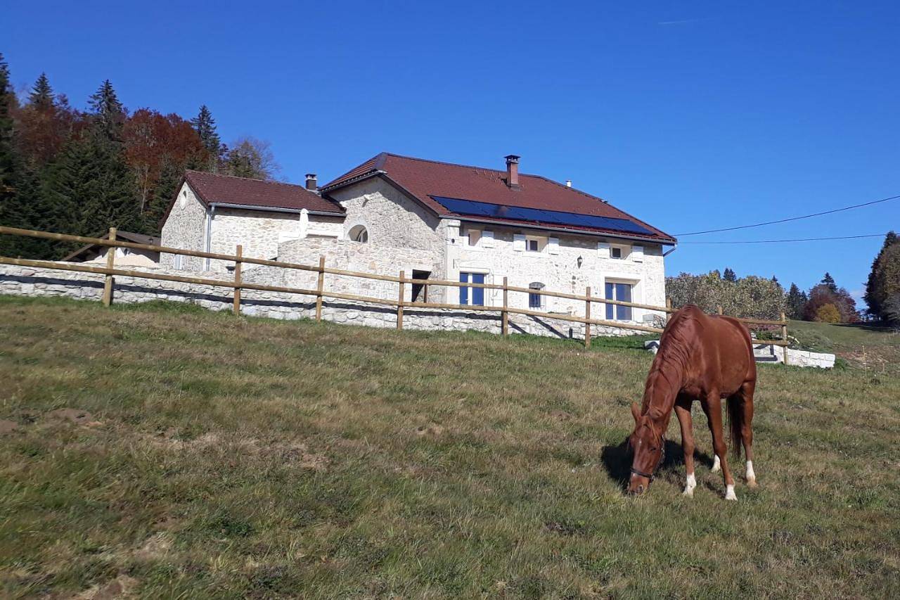 Gîte des 3 Marches in Lamoura, Parc naturel régional du Haut-Jura