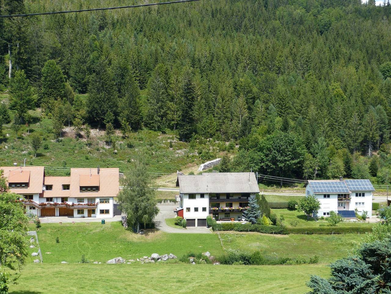 Ganze Ferienwohnung, Haus Wiesengrund - Ferienwohnung Haus Wiesengrund in Hundsbach, Forbach